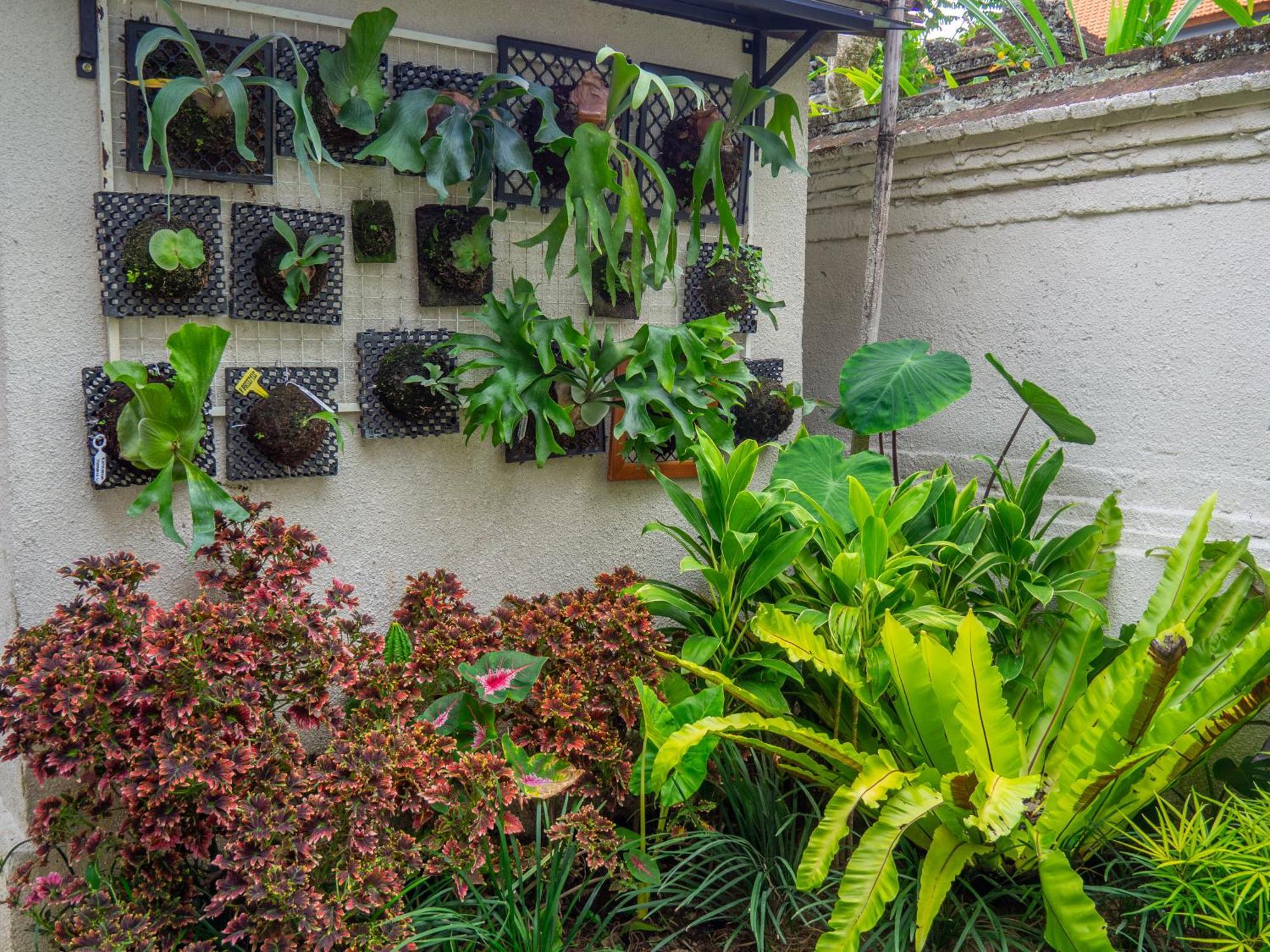 Arumasta Ubud Esterno foto